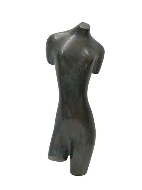 Torso Feminino