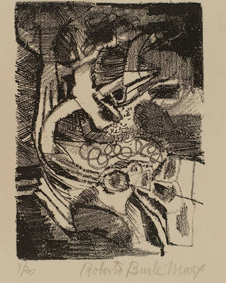 Roberto Burle Marx - Composição