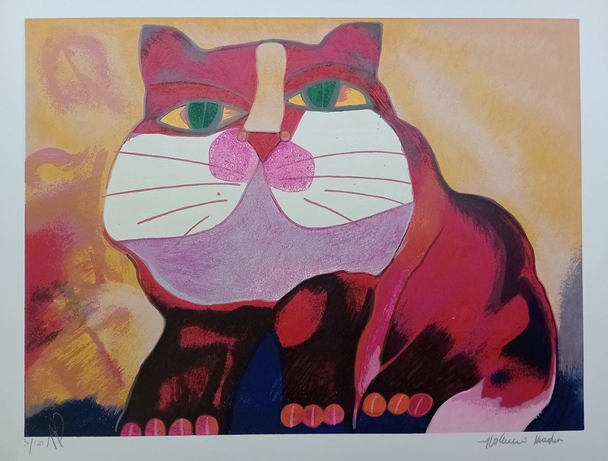 Gato Vermelho