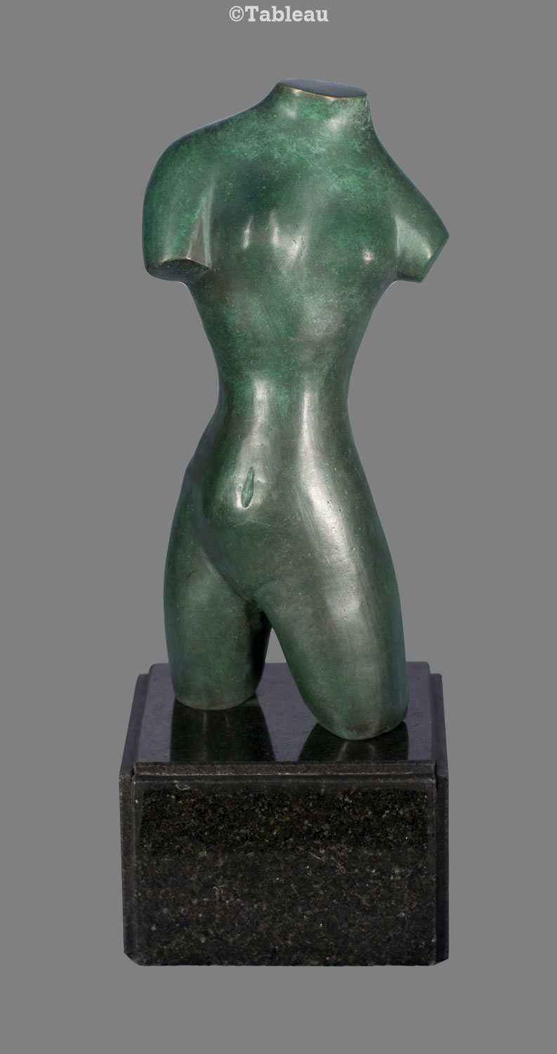 Torso
