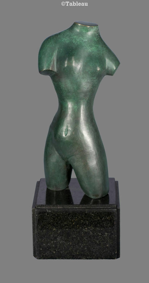 Torso