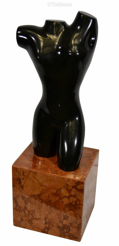 Torso