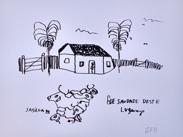 José Antônio da Silva - Fazenda