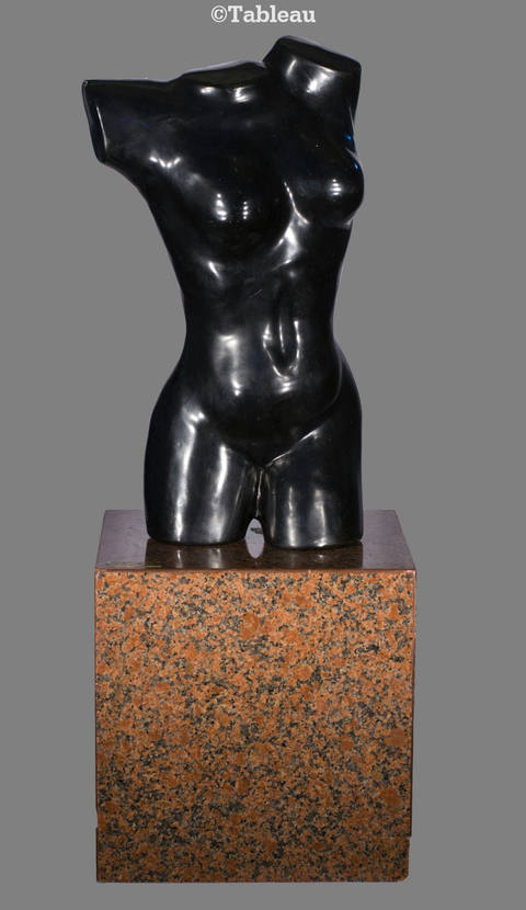 Torso