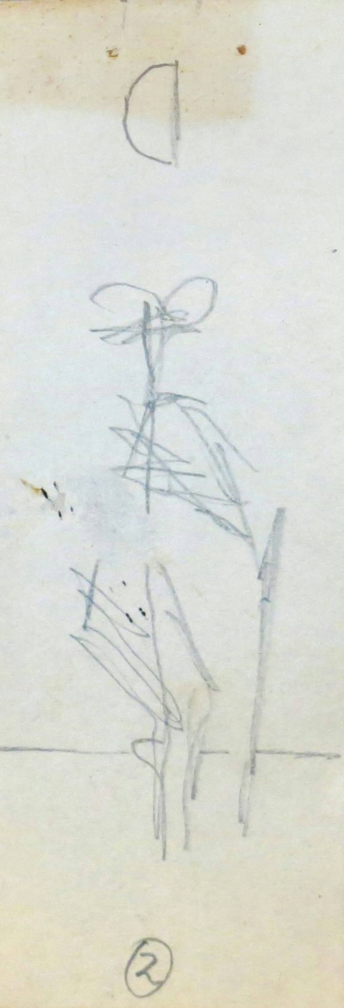 Cangaceiro