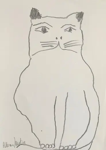 Gato (s/ data)