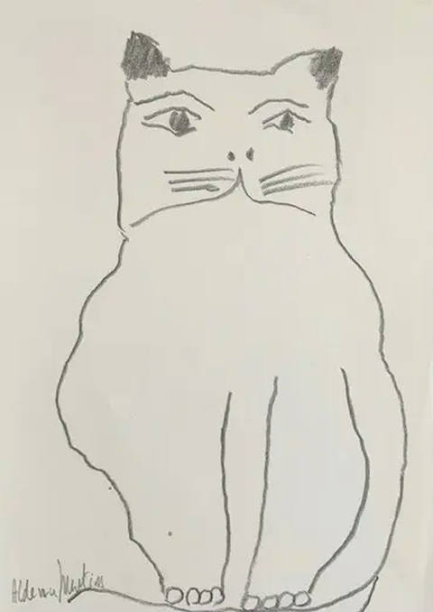 Gato (s/ data)