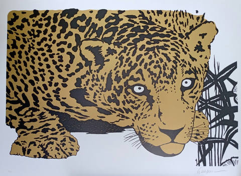 Onça pintada dourada