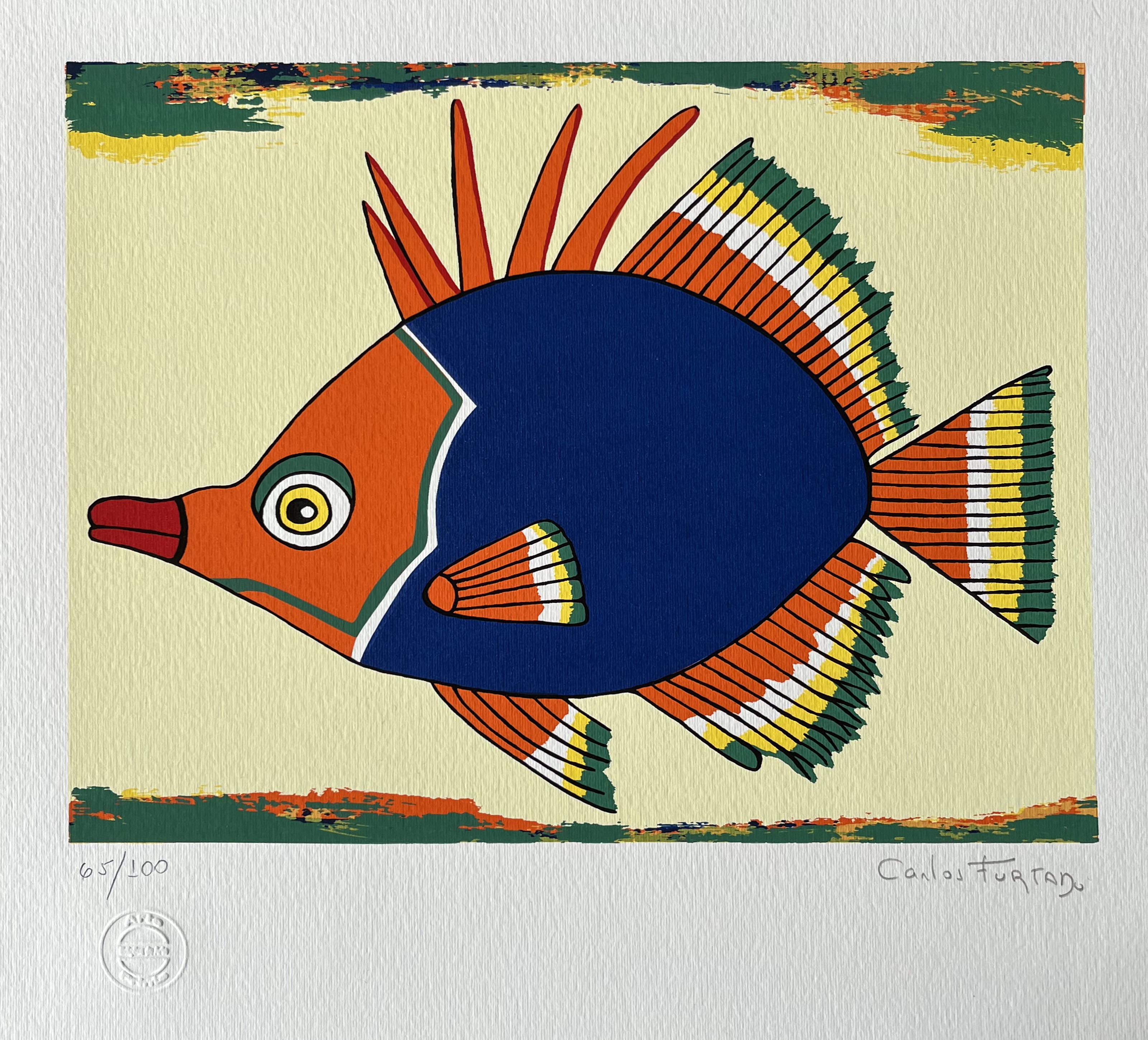 Peixe VI