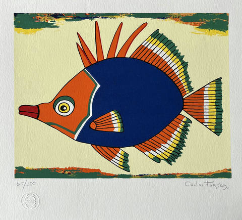 Peixe VI