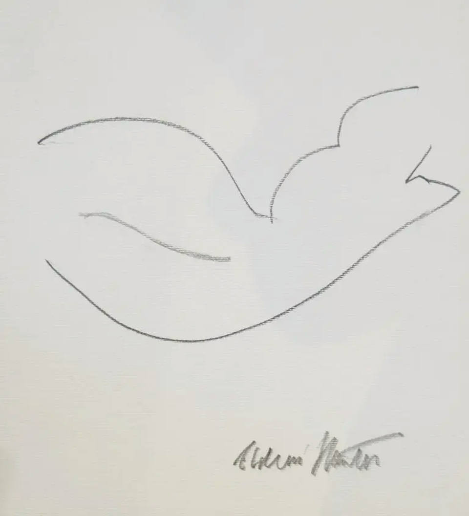 Aldemir Martins - Nú