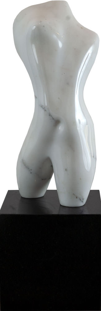 Torso