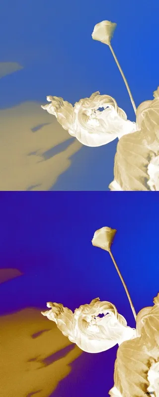 Diálogo com as Sombras III