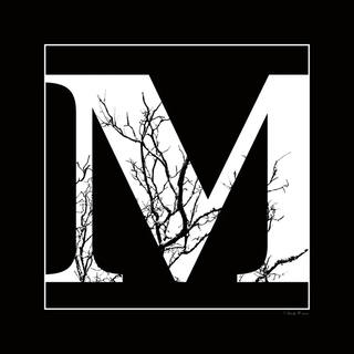 Stela Araujo & Marcos Wilke - Sm - Letra M