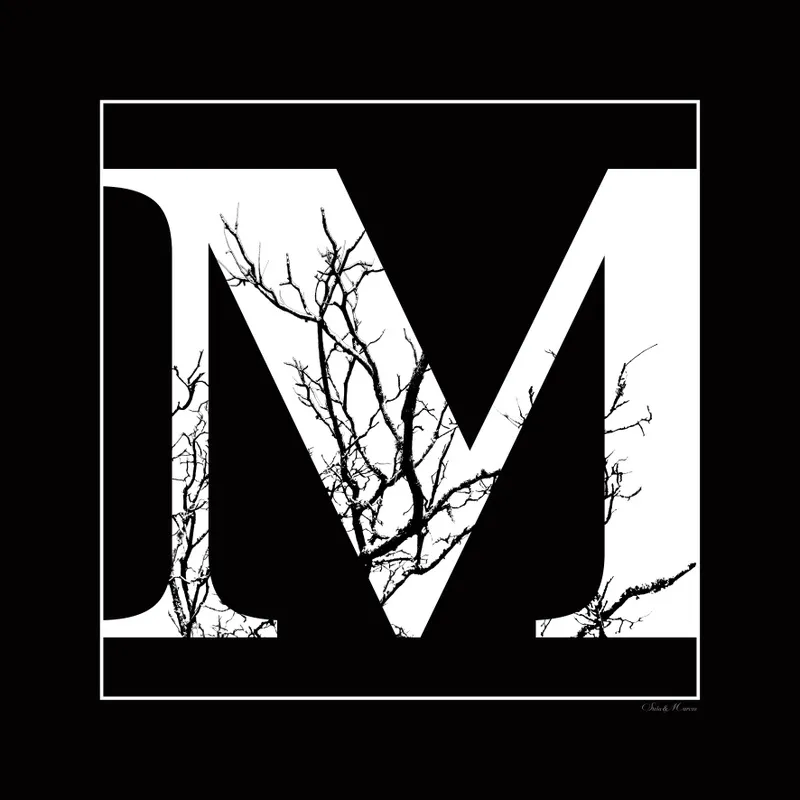 Stela Araujo & Marcos Wilke - Sm - Letra M