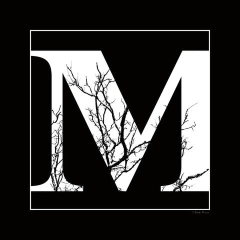 Sm - Letra M