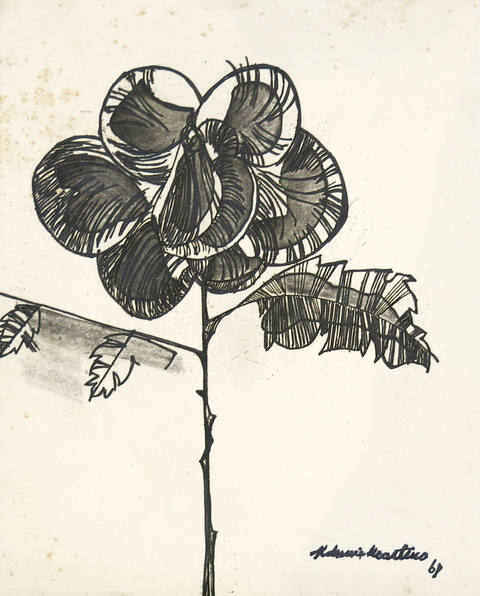 Flor