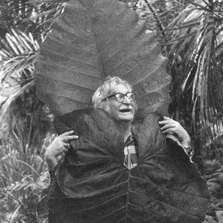 Roberto Burle Marx - Sem título