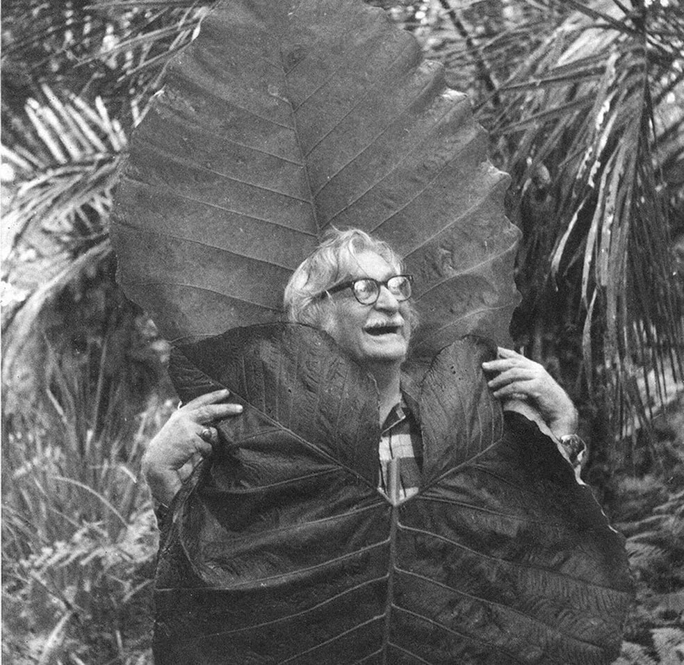 Roberto Burle Marx - Sem título