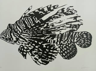 Kleber Ventura - Peixe