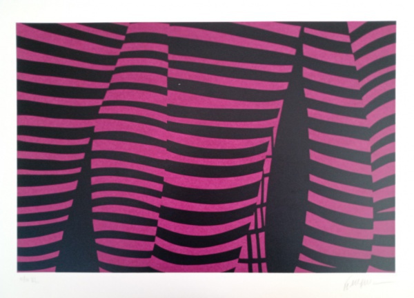 Kleber Ventura - perna pink