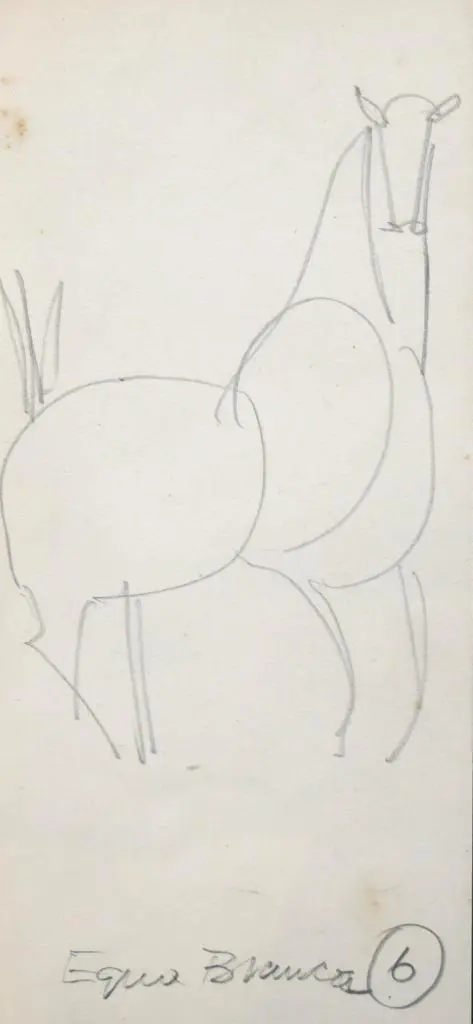 Égua Branca