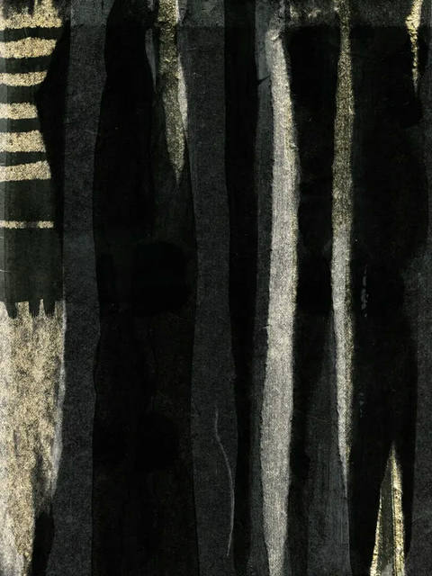 Tapume IV