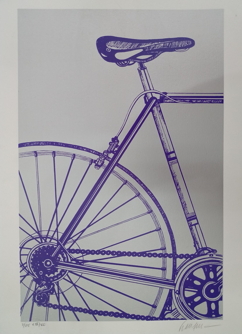 Kleber Ventura - Bicicleta roxa