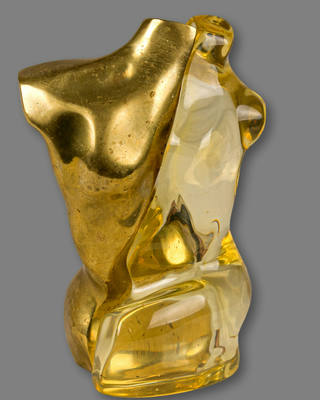 Max Forti - Torso