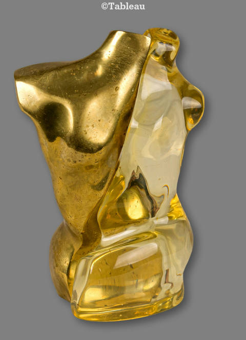 Torso