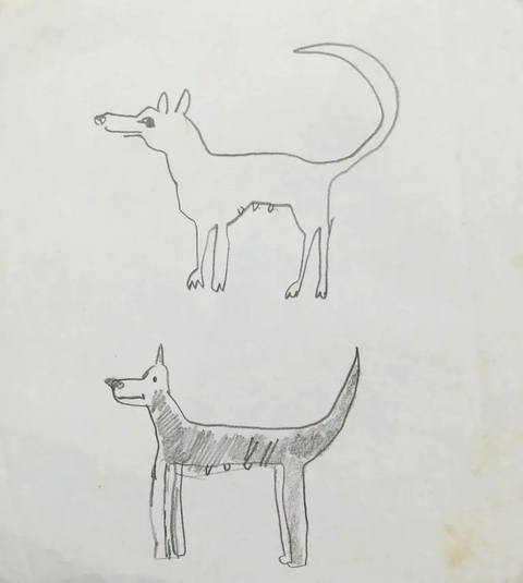 Estudos Cachorros