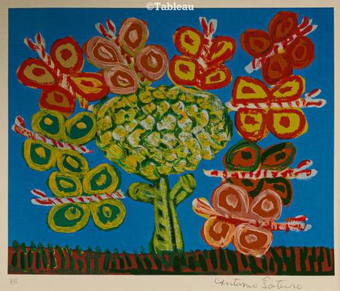 Flores