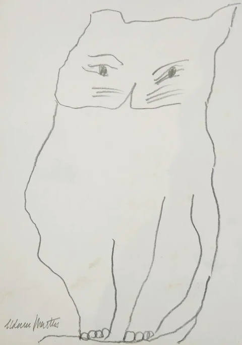 Gato