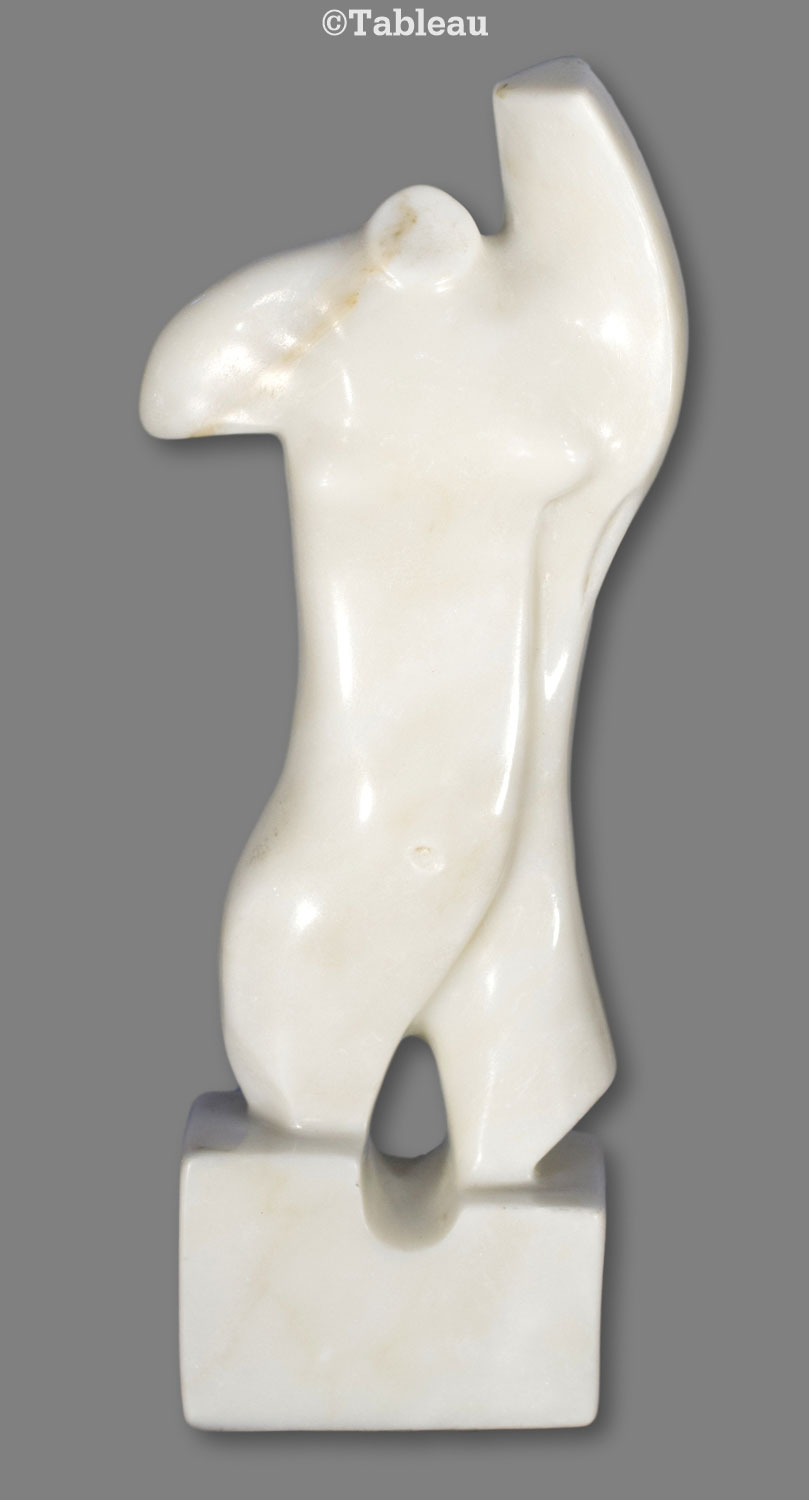 Torso
