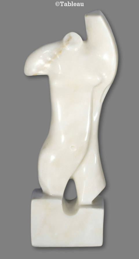 Torso