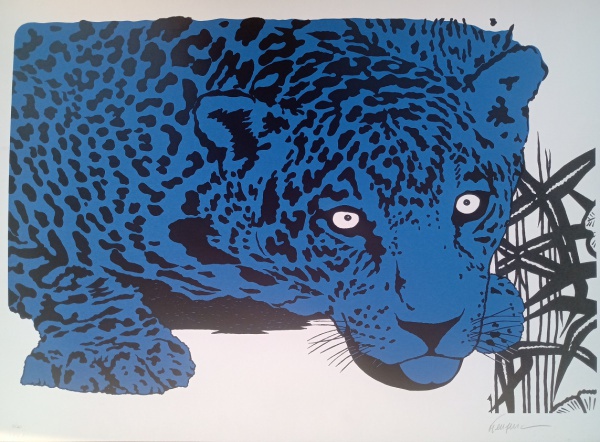 Kleber Ventura - Onça Azul