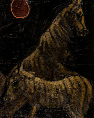 Inos Corradin - Cavalos