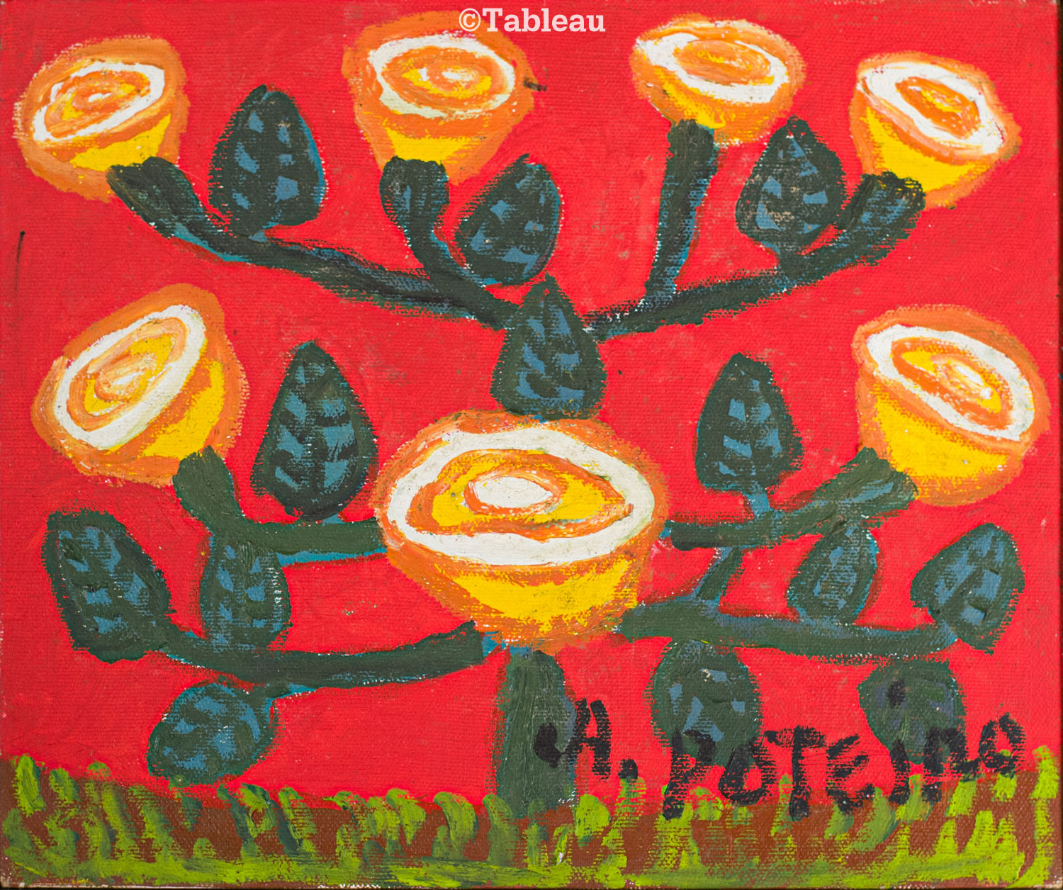 Flores