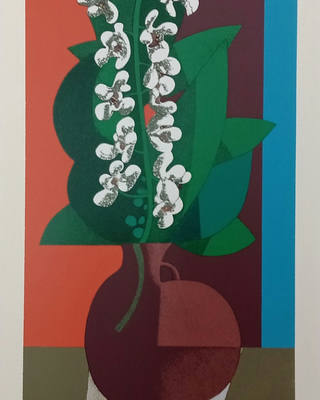 Inos Corradin - Orquídeas