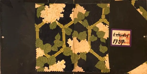 Capa