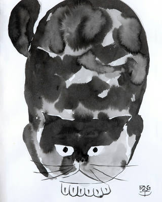 Kong Fang Chen - Gatinho Molhado II