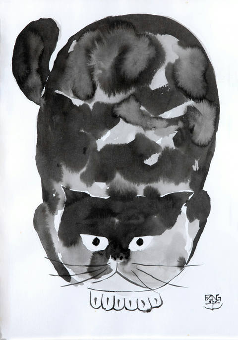 Gatinho Molhado II