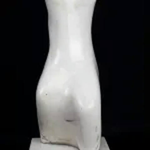 Torso