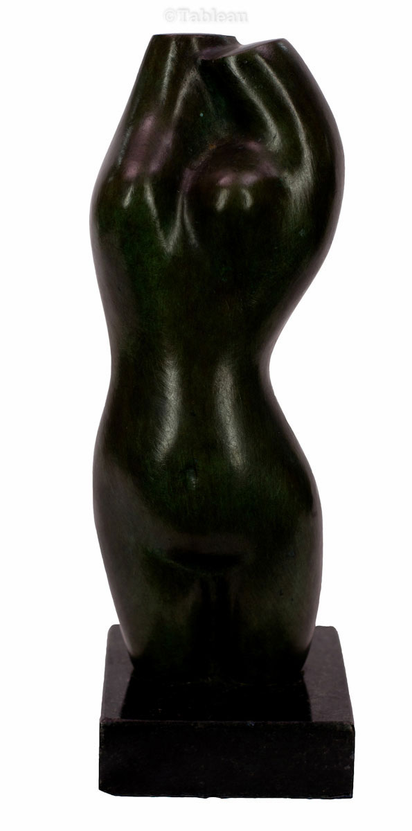 Torso