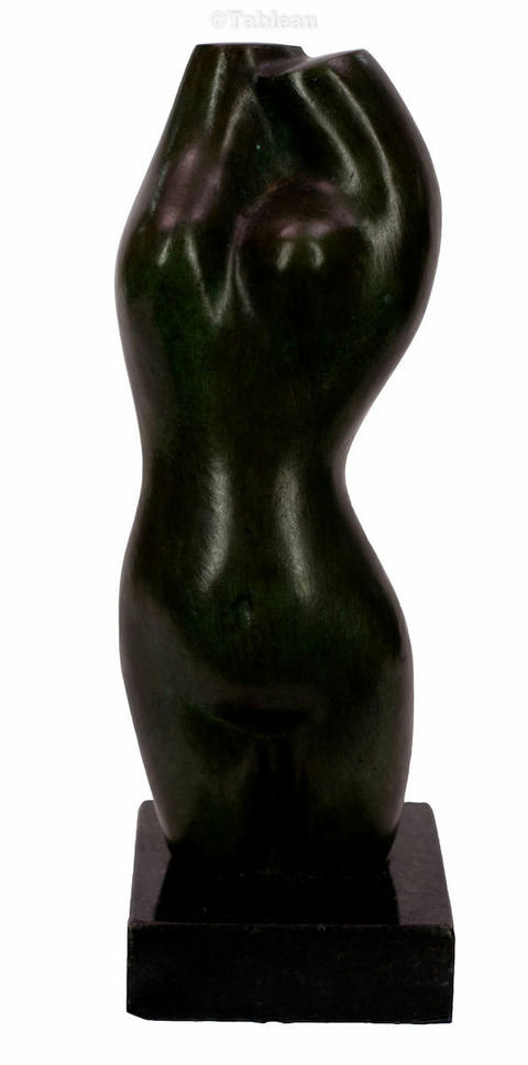 Torso