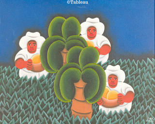 José Sabóia - Colheita