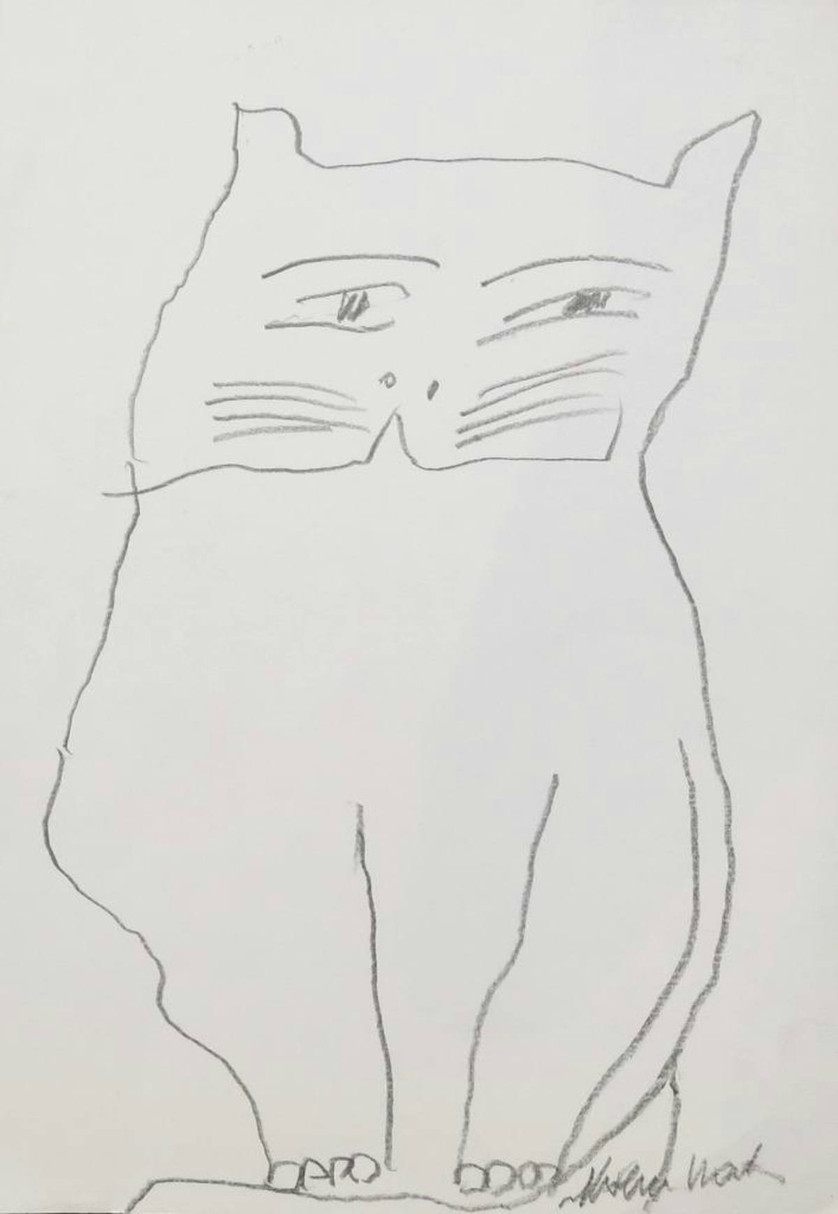Gato
