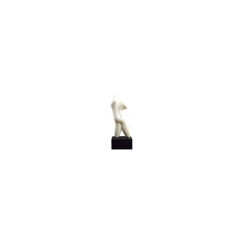 Torso