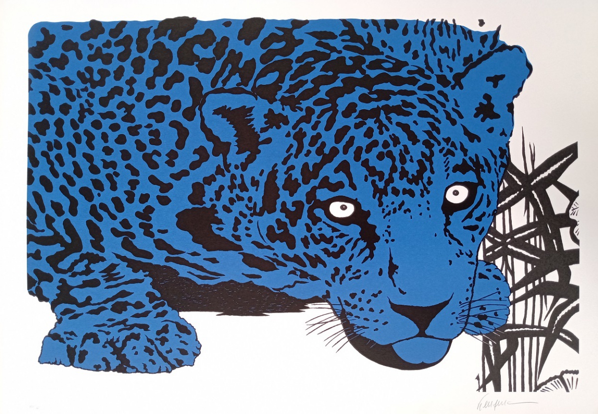 Onça Azul