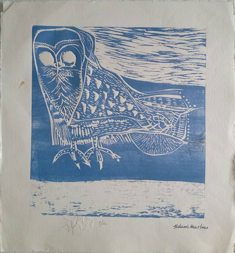 Coruja Azul